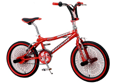 20"freestyle bicycle